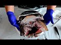 Middle of video