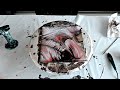 End of video