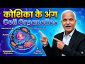 मानव कोशिका के अंगों का वर्णन  क्लास [9th-10th]( Human  cell orgenells explained in  Hindi)