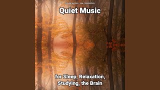 Quiet Music for Sleep and Relaxation Pt. 64