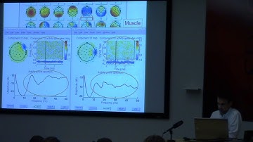 Evaluating Independent Components By Luca Pion-Tonachini
