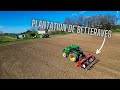 Plantation de betteraves porte graine 2024 avec un john deere 6155r et une planteuse 8 rangs