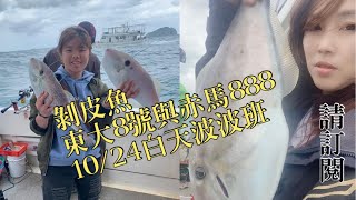 釣魚 1091024星期六波波班 白天班 船釣況 東大8號與赤馬888 小搞搞釣況分享 感謝 琪琪 的照片漁獲可以讓大家看到 感謝