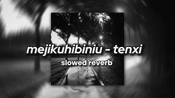 Mejikuhibiniu - Tenxi, suisei & Jemsii || (slowed+reverb)