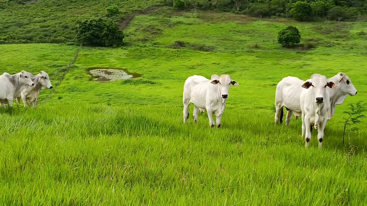 3 de janeiro de 2026