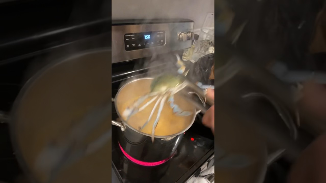 Blue crabs 🦀 #prissyp #seafood #seafoodboil #bluecrab