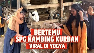 NEWS VLOG - Jual Kambing Kurban dengan SPG Lebih Cuan, Benarkah? Cek Faktanya!