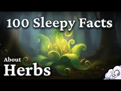 The Most Relaxing Facts About Herbs to Fall Asleep To