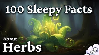 The Most Relaxing Facts About Herbs to Fall Asleep To