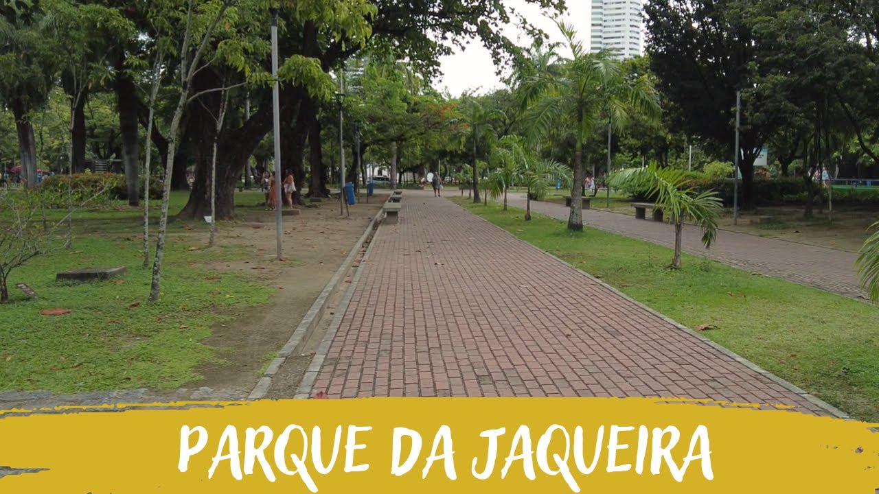 Parque da Jaqueira - Recife [4K]
