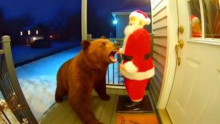 Bears Get Scared by Christmas Decorations 🎄 Caught on Camera | Bear Reaction Compilation