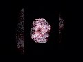 Hypnotic Particle Animation From Real Fishing GPS Data