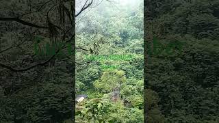 Curug Cilember Puncak Bogor