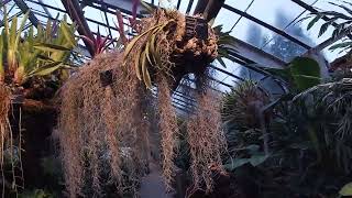 Montreal Botanical Garden