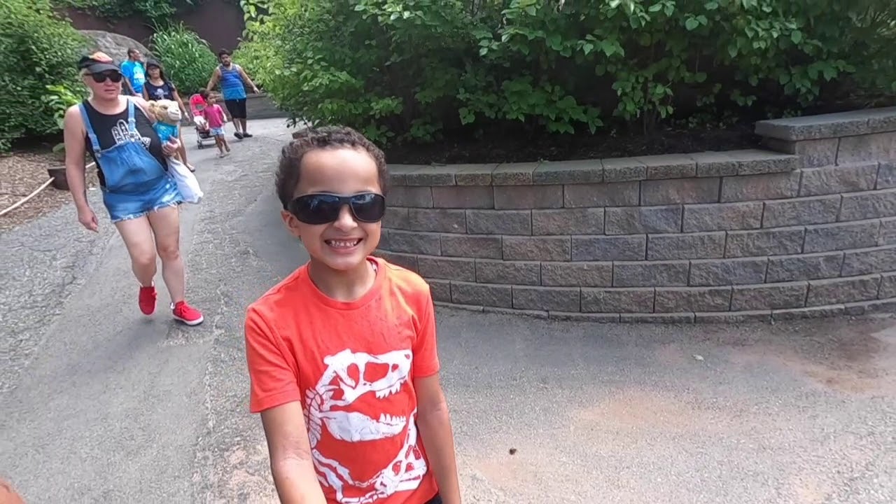 Turtle Back Zoo 2019