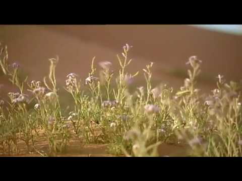 فلنتعاون جميعا للحفاظ على الحياة الفطرية