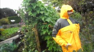 Peppa Pig World Tracktor.wmv