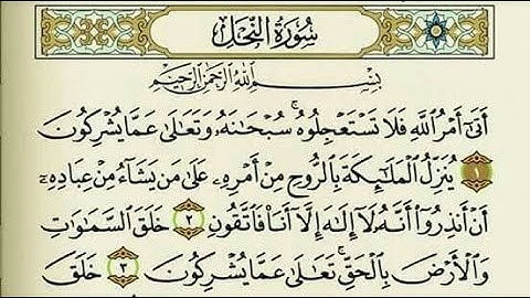 سورة النحل عبدالمنعم عبدالمبدئ