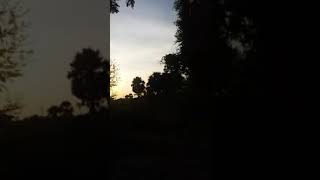 natural kuyil sounds