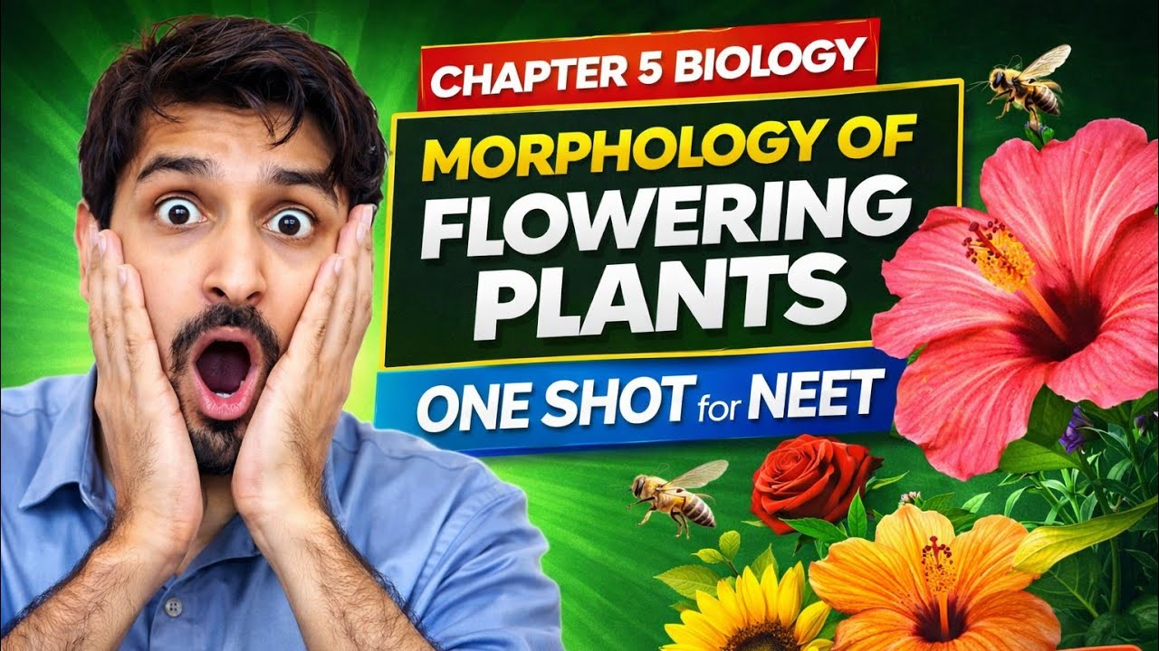 Chapter 5 Biology ONE SHOT | Morphology of Flowering Plants | NEET 2026 ...