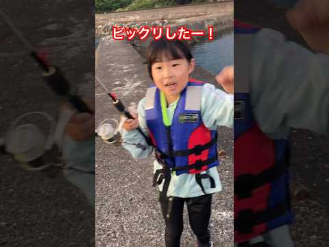 【魚釣り🎣】ビックリした❗️ #shorts  #かわいい　#おもしろ  #楽しい  #釣り #遊び　#魚釣り
