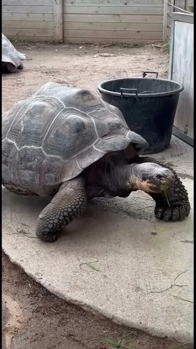 A day in Barcelona zoo !