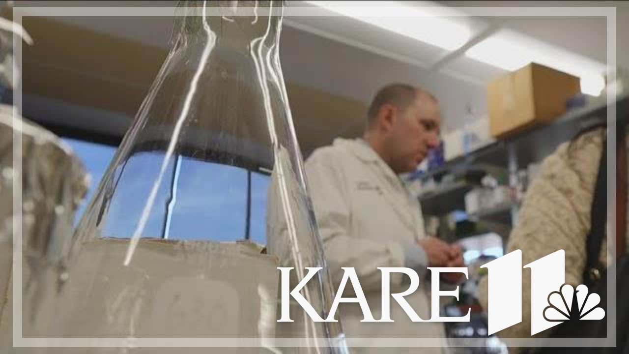U of M researchers find first step of potential HIV cure - YouTube