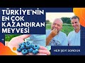 TÜRKİYE'NİN EN ÇOK KAZANDIRAN MEYVESİ / MAVİ MUCİZENİN YETİŞTİĞİ BAHÇELERE GİTTİK