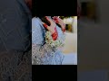 Short viral youtubeshorts youtubetranding trendingshorts amazing bridal