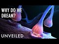 The REAL Reason Humans Dream | Unveiled