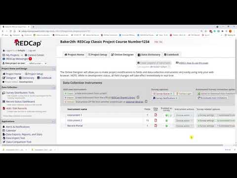 REDCap Export and Import Instrument