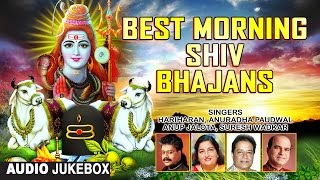 Best Morning Shiv Bhajans By HARIHARAN, ANURADHA PAUDWAL, SURESH WADKAR, ANUP JALOTA I Audio JukeBox