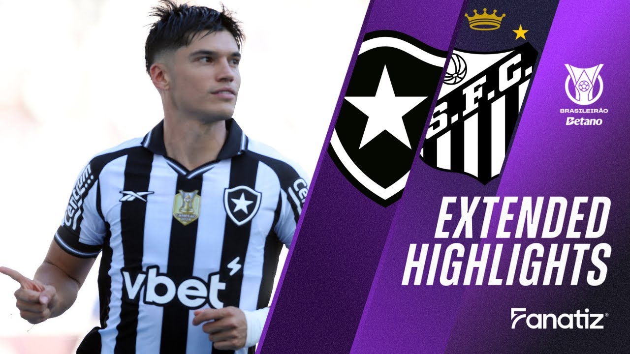 Botafogo vs. Santos 2-2 I Game Highlights I Brasileirão 2025