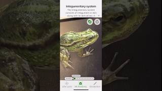 Froggipedia Augmented Reality Screen Recording