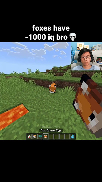 Minecraft Fox Moment