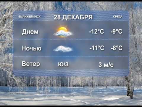 Погода в еманжелинске на 10 дней точный. Прогноз погоды Рязань. Погода на 28. Погода на 28 декабря. Рязань климат.