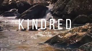Relaxing Forest Water Flow / KindRed Nature meets Ohmterra - Land of Peace 432 Hz
