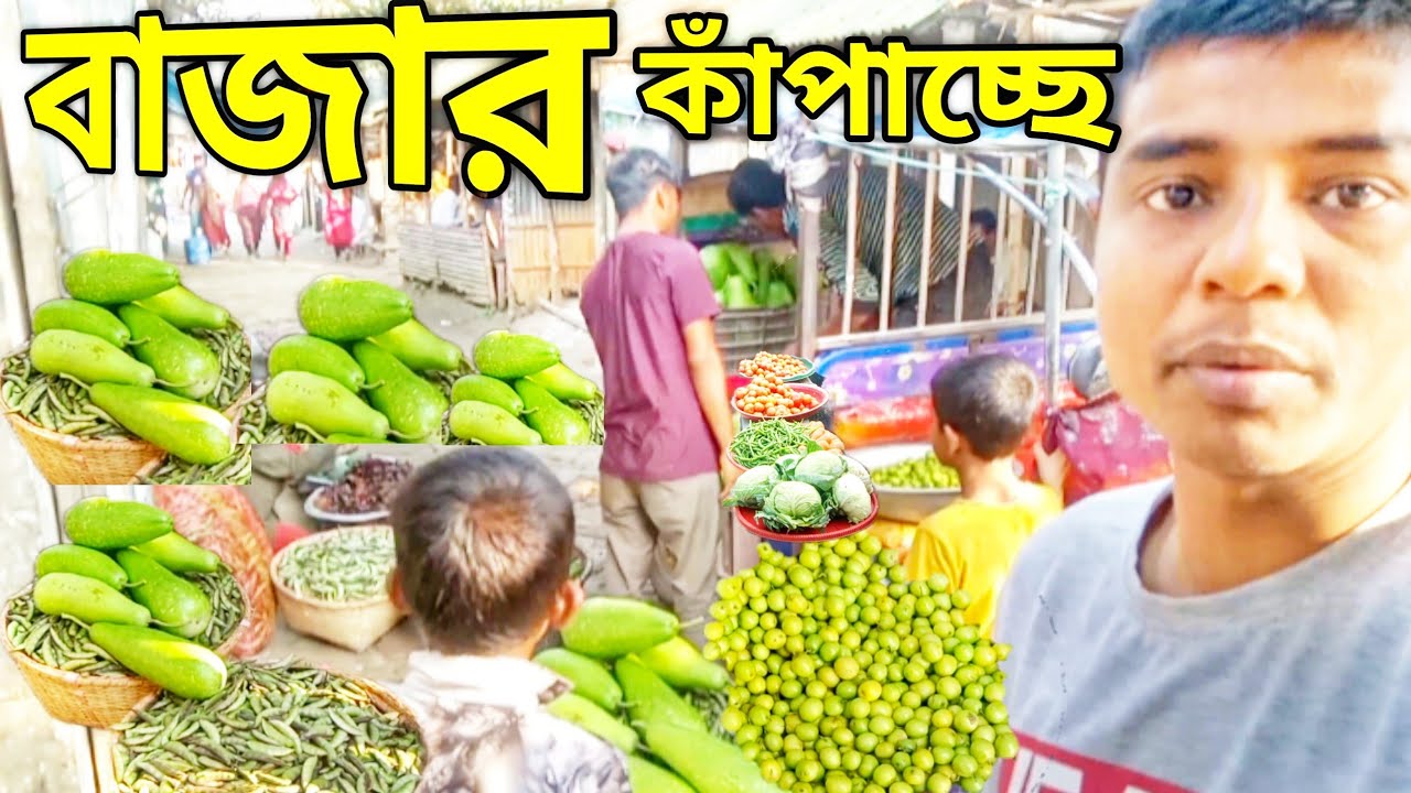 বাজার কাঁপাচ্ছে। টমটম ভর্তি তরকারি | Tomato Curry Street Business Blogger Babul Mia 