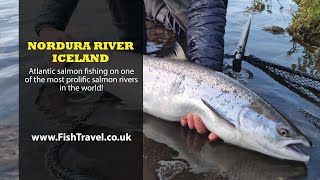 NORDURA RIVER SALMON FISHING, ICELAND. ONE OF THE BEST RIVERS IN THE WORLD! LODGE & FISHING OVERVIEW