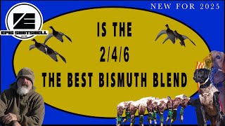 Epic Shotshell Pattern Test 12 ga 2-4-6 Bismuth