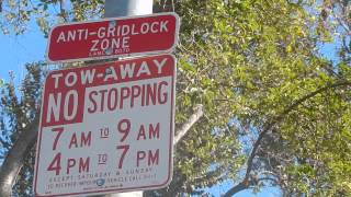 The only anti gridlock zone in the U S