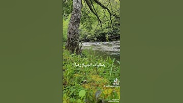 روعة أواخر سورة الحشر #العظماء
