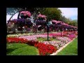 Al Ain Paradise   Парк цветов ОАЭ