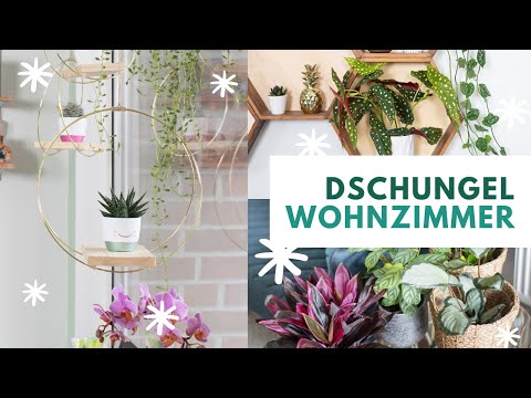 Video: Kreative Zimmerpflanzen Dekore für Weihnachten und Neujahr