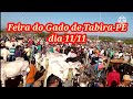 Feira do Gado de Tabira-PE dia 11/11 Tava super lotada de Gente