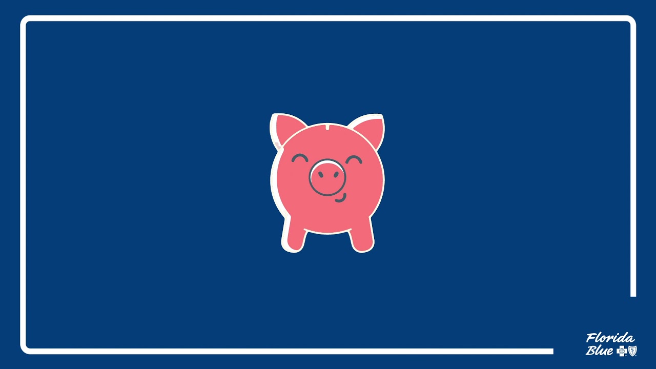 BlueCare Individual & Family health plans from Florida Blue HMO YouTube