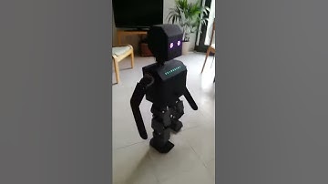 HR-C biped robot walking