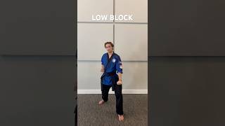 How to do a karate low block…