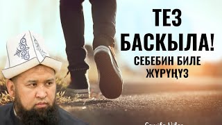 ТЕЗ БАСКЫЛА! СЕБЕБИН БИЛЕ ЖҮРҮҢҮЗ