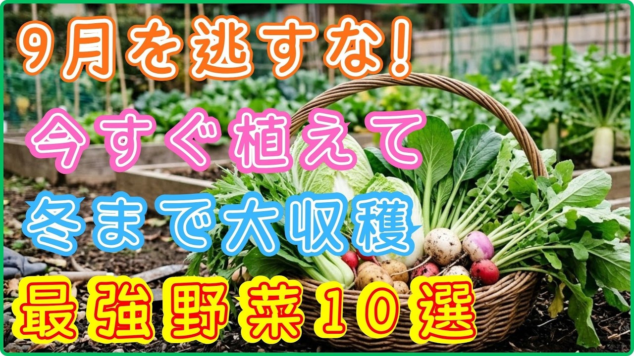 Don't Miss September! Get Sweeter Vegetables in Winter! 10 Best